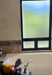 The Sterling (D21), Condominium #500148951